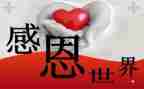 我感恩老师作文模板7篇