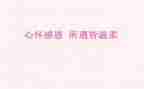 关于感恩活动总结通用5篇