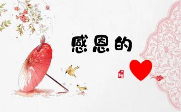 我最感激她作文模板5篇