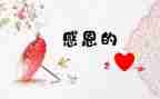 我最感激她作文模板5篇