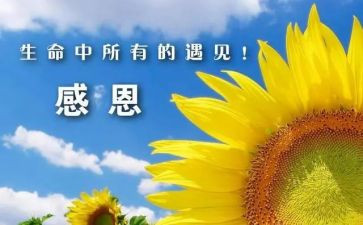 感谢母亲作文模板8篇