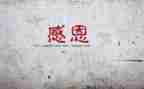 感谢书作文600字作文通用6篇