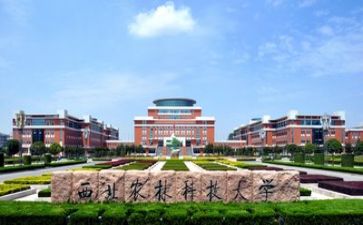 高校毕业生毕业自我鉴定优秀6篇