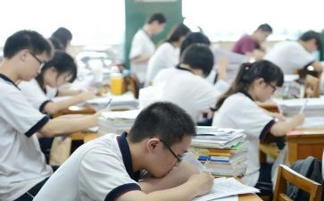 高一历史工作计划8篇