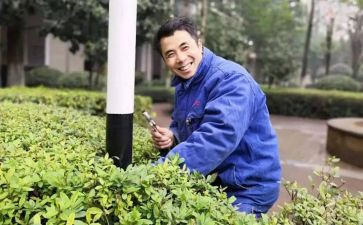 工程物业年终总结优秀8篇