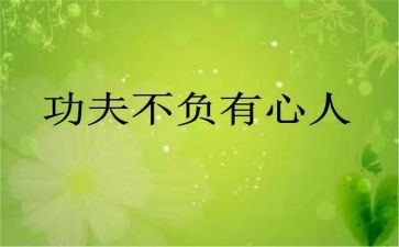 功夫不负有心人,作文精选5篇