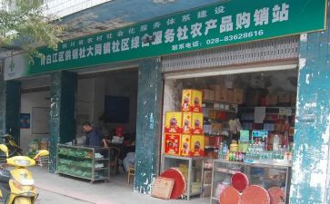 供销社工作总结5篇
