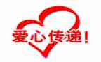 公益岗自查报告5篇