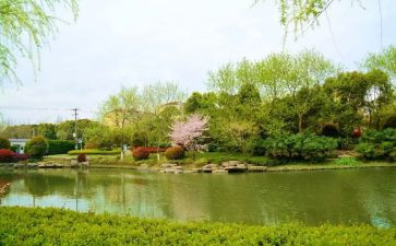 公园里的作文精选6篇