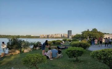 去公园的作文精选7篇