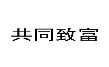 致富典型事迹材料7篇