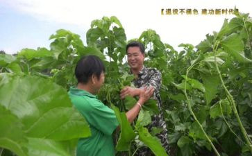 致富事迹推荐8篇