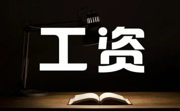 工资岗工作总结5篇