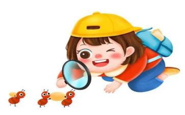观察动物作文400字优质6篇