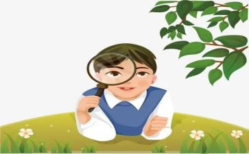 作文观察植物300字最新8篇