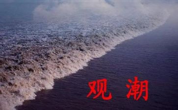 观潮活动总结优质6篇