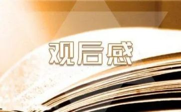 地心引力电影观后感6篇