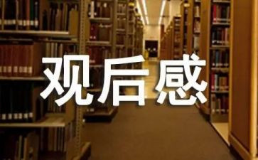 电视剧作文观后感5篇
