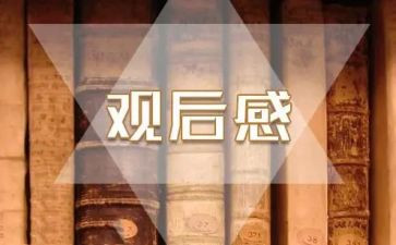 我和我的祖国观后感优质6篇