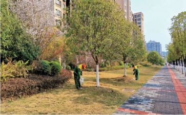 2024年主管护师的个人总结5篇