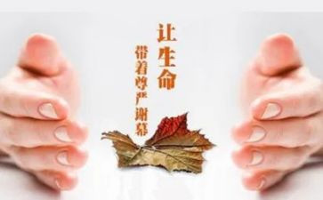 对我关怀的作文6篇