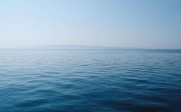 保护海洋日演讲稿6篇