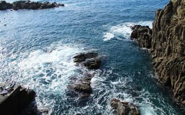 《《老人与海》》读后感参考6篇