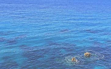 海洋课观后感5篇