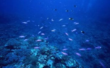 海底两万里1至8心得体会5篇
