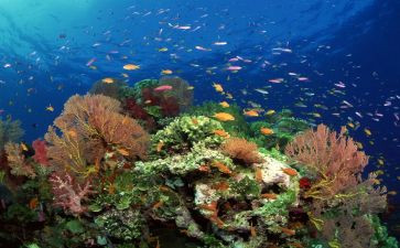海底两万里的读后感40字5篇