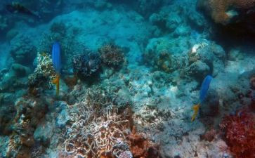 海底两万里1到4读后感优秀8篇