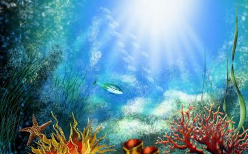 海底两万里1至8心得体会优秀7篇