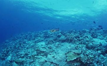 海底两万里1至8心得体会推荐7篇