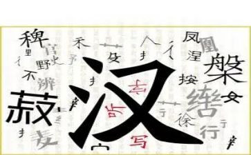 大班汉字七的教案5篇