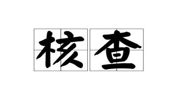核查工作总结7篇