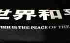 读书和平与战争心得体会6篇