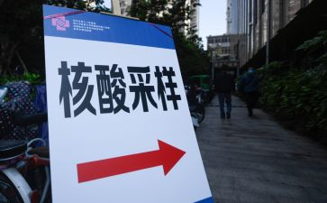 核酸采集队的工作总结8篇