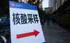 核酸采集队的工作总结8篇