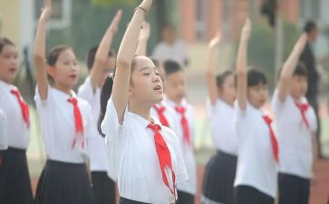 红领巾系的活动总结5篇