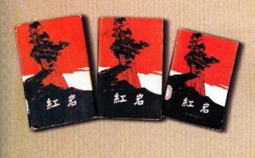 读《红岩》的读后感精选6篇