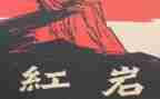 红岩的读后感800字5篇