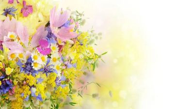 描写四季的花作文优质8篇