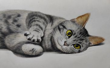 中班《画》教案模板5篇