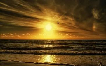 七年级上册《秋天的怀念》教案7篇