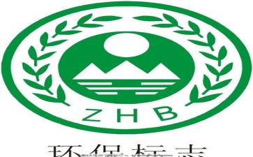 2024年环保个人年终工作总结5篇