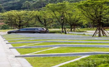 校园环境演讲稿通用8篇