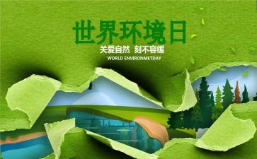 小学环境日主题活动方案7篇
