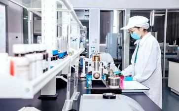 2024化验室年终总结7篇