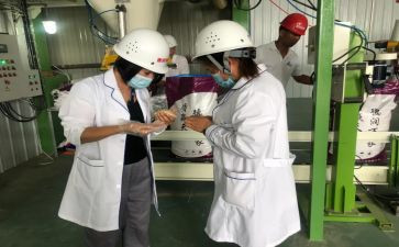 煤化验工作总结模板7篇