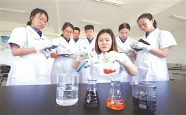 煤化验工作总结优质5篇